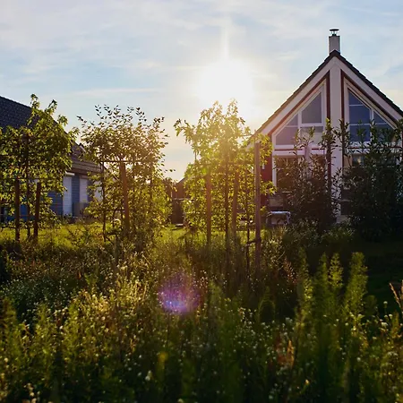 Ferienhaus Schorfheide - Mit Sauna Und Hot Tub Whirlpool! Energiekosten Flat