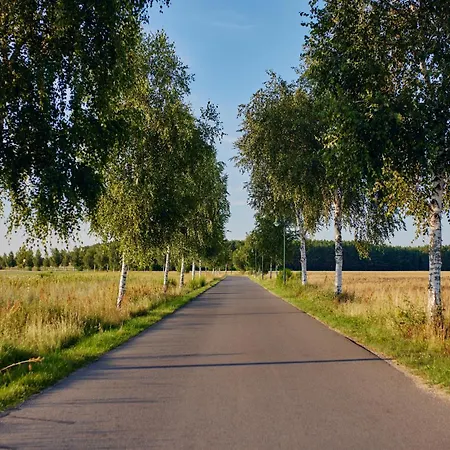 Ferienhaus Schorfheide - Mit Sauna Und Hot Tub Whirlpool! Energiekosten Flat Wandlitz