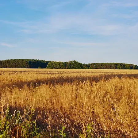 Schorfheide - Mit Sauna Und Hot Tub Whirlpool! Energiekosten Flat Ferienhaus
