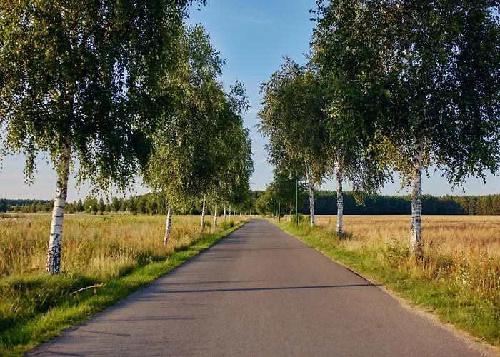 Ferienhaus Schorfheide - Mit Sauna Und Hot Tub Whirlpool! Energiekosten Flat Wandlitz