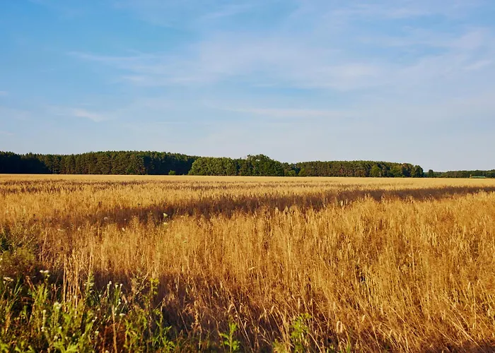 Schorfheide - Mit Sauna Und Hot Tub Whirlpool! Energiekosten Flat 別荘